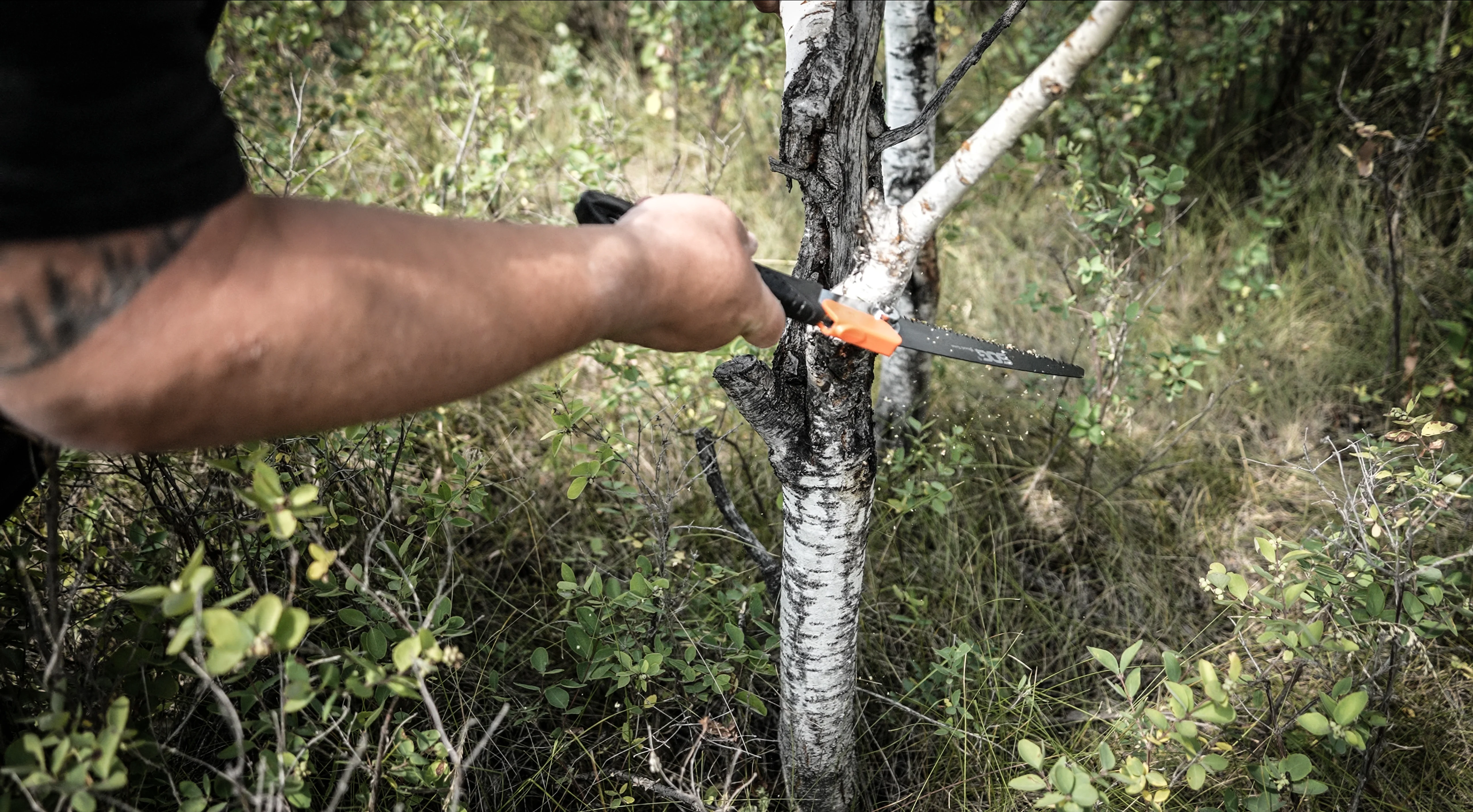 Folding Saw - Image 12